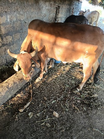 थंबनेल 2