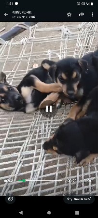 થંબનેલ 2