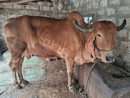 थंबनेल 2