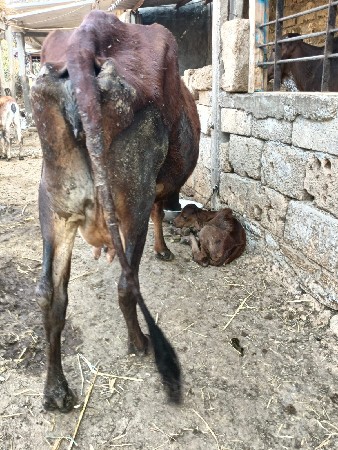 થંબનેલ 3