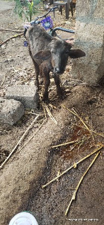 થંબનેલ 3