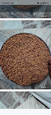 8 નબર સણા બી