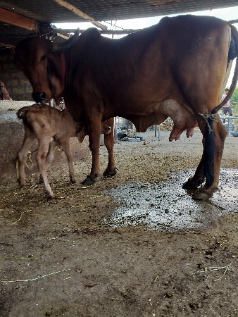 थंबनेल 3