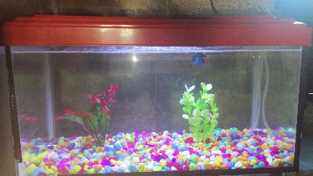 બામણગામ