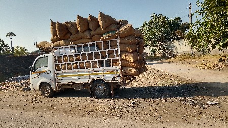 થંબનેલ 3