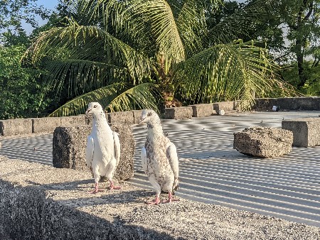 थंबनेल 2