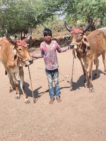 थंबनेल 2