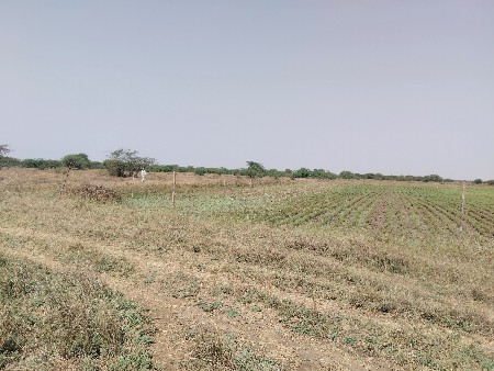 જમીન વેચવાની છે 
૨.૫/૩ વીધા, જુની