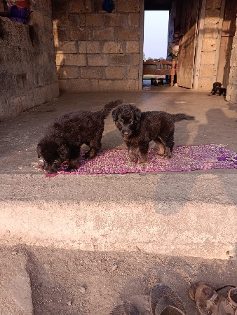 થંબનેલ 3