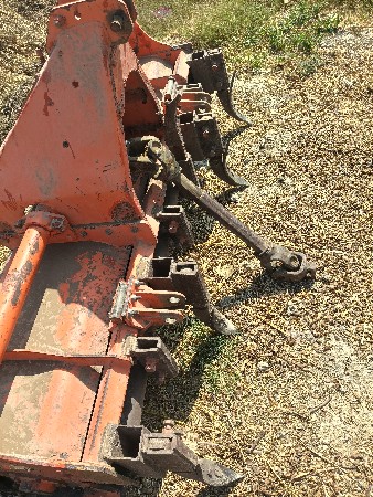 શક્તિ માન સેમી સેમપીઈન 6 ફૂટ