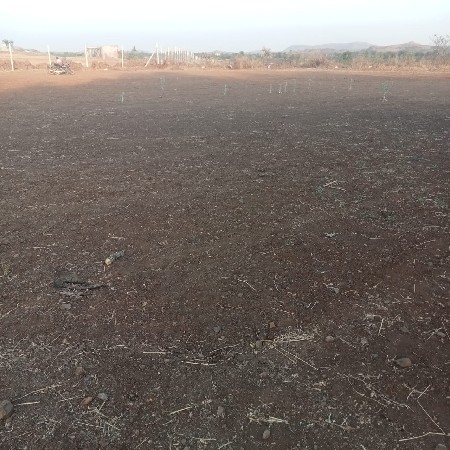 ગામ કેરાળા  ધારી તાલુકો