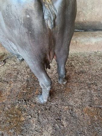 थंबनेल 3