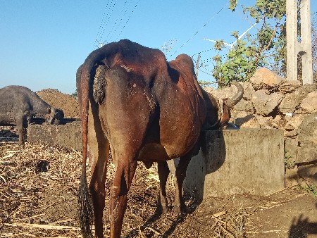 થંબનેલ 3