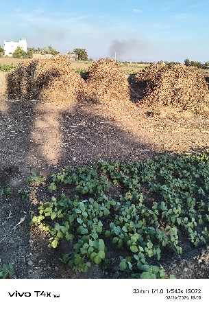 juvar na pura vechavana che