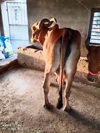 थंबनेल 2