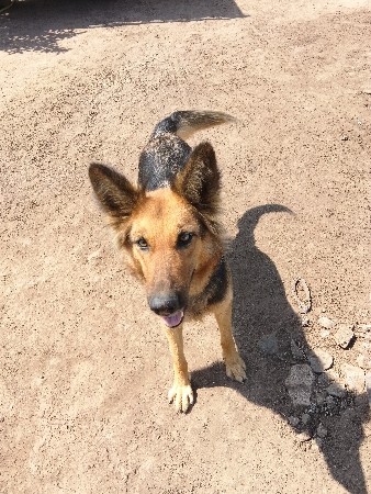 થંબનેલ 2