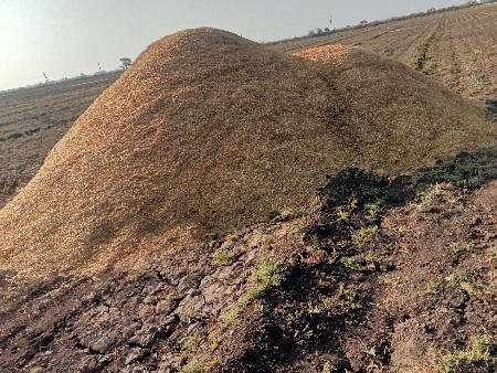 ખારીયુ છે વેચવાનું