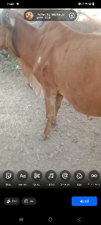 थंबनेल 2