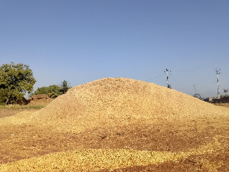 ખરિયું વેચવાનું છે