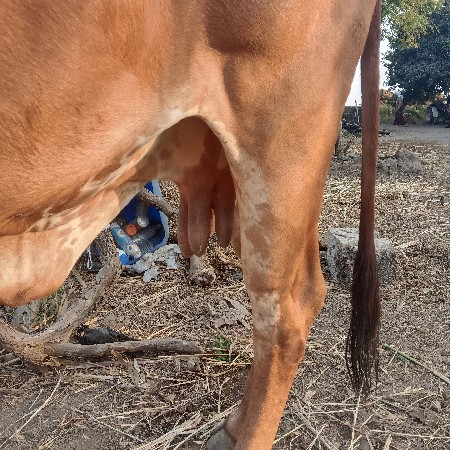 થંબનેલ 2