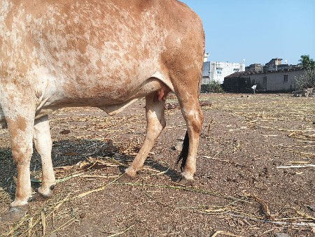 થંબનેલ 3