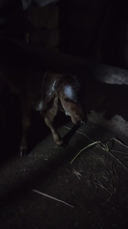 थंबनेल 3