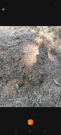 ખાતર વેચવાનું છે