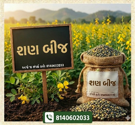શણ ઇક્કડ બિયારણ મળશે