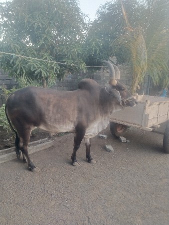 थंबनेल 2