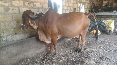 थंबनेल 2