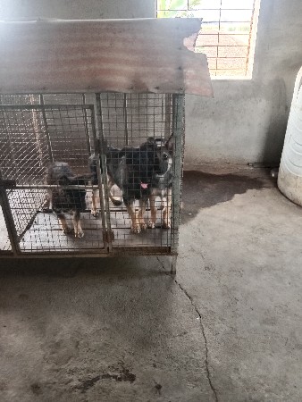 थंबनेल 3