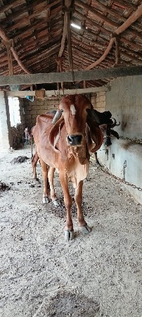 थंबनेल 2