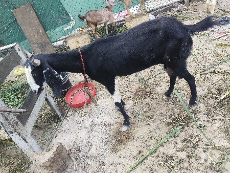 થંબનેલ 3