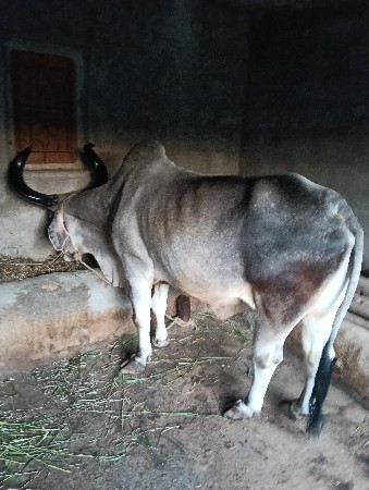 थंबनेल 2