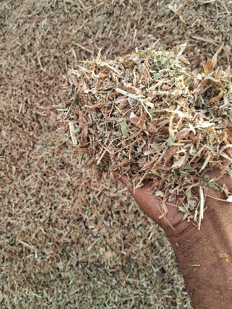 માંડવીયાનો ભૂકો તુવેર દાળ નો ભુકો