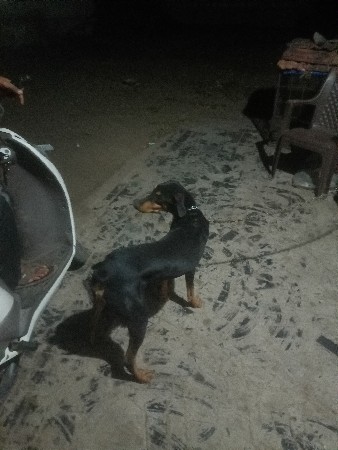 થંબનેલ 2