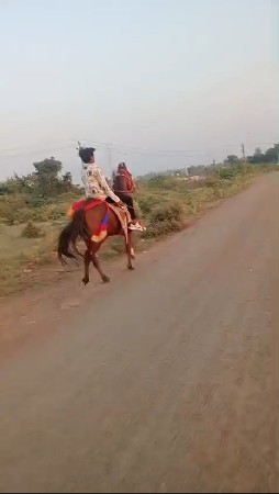 સાટાકરવાનાછે ઘોડીના હાલવારીછે