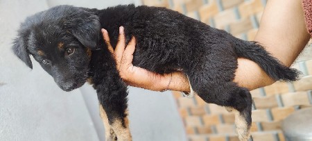 थंबनेल 2