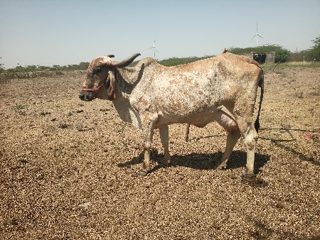 थंबनेल 2