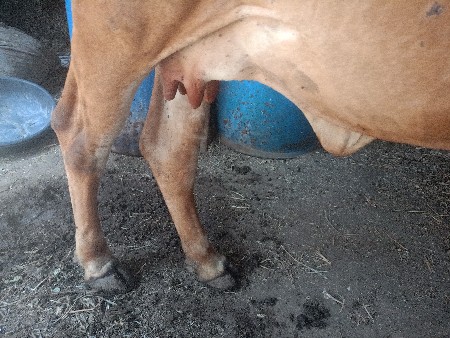 थंबनेल 3