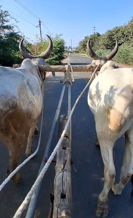 थंबनेल 3