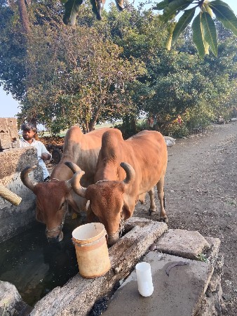 थंबनेल 3