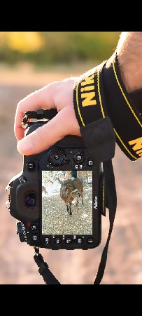 ઘોડી સાટામાલેવાનીછે