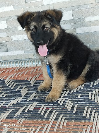 થંબનેલ 2