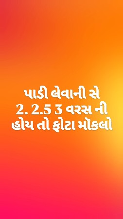 પાડી લેવાની સે