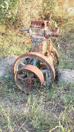 થંબનેલ 3