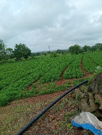 थंबनेल 2