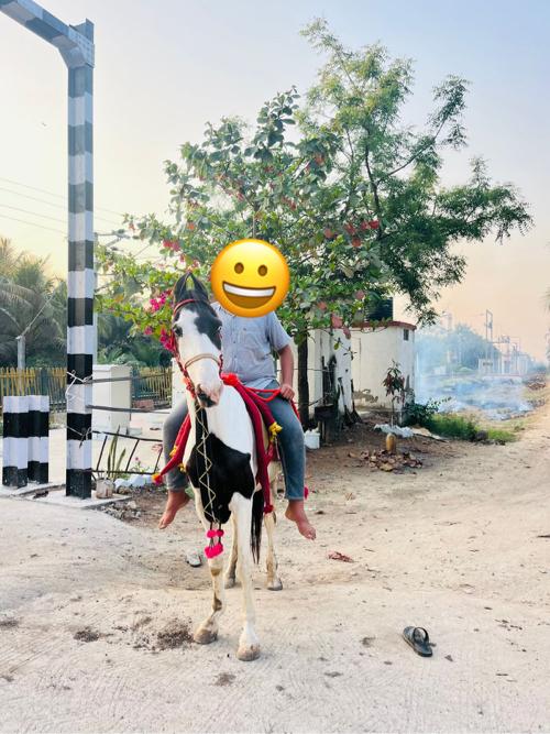 થંબનેલ 3