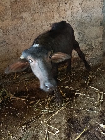 थंबनेल 3