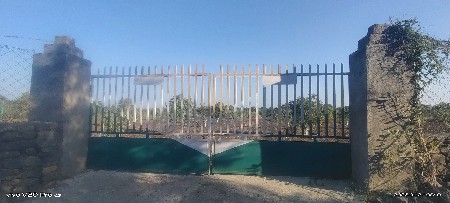 11વિઘા આંબાનો બગીચો રામપરા ગીર